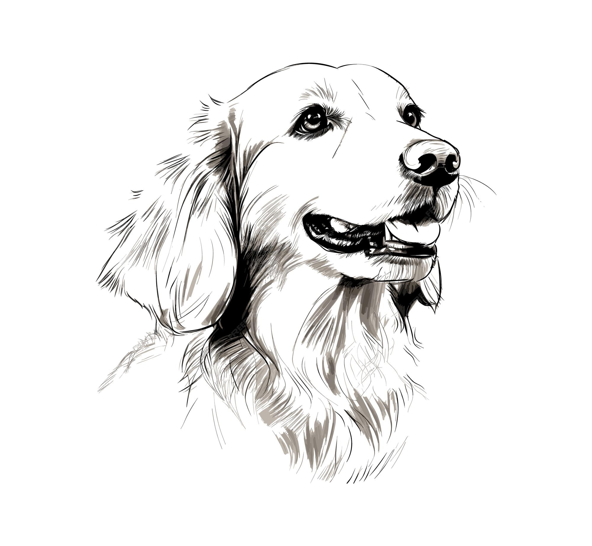 Premium Vector Hand drawn dog sketch illustration