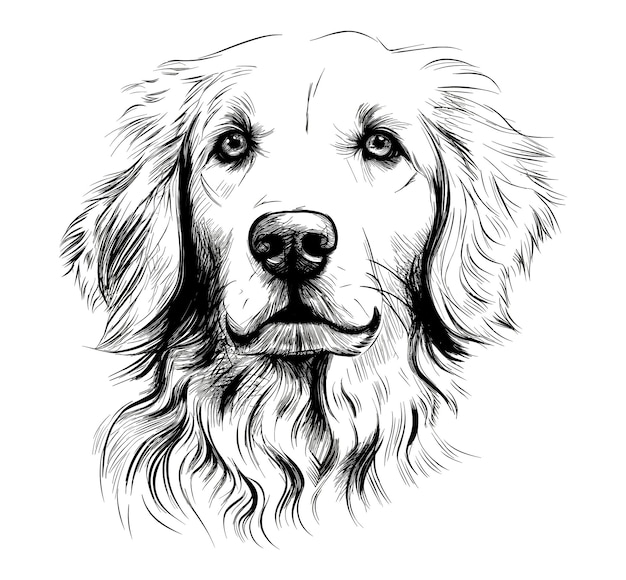 Hand drawn dog sketch illustration