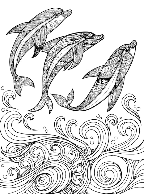 Vector hand drawn dolphins  background