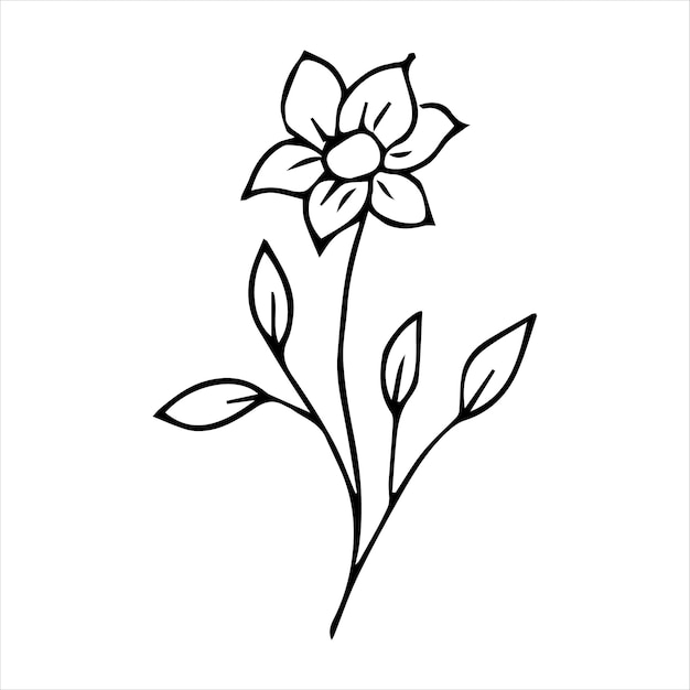 Hand drawn doodle botanical floral element for floral design concept