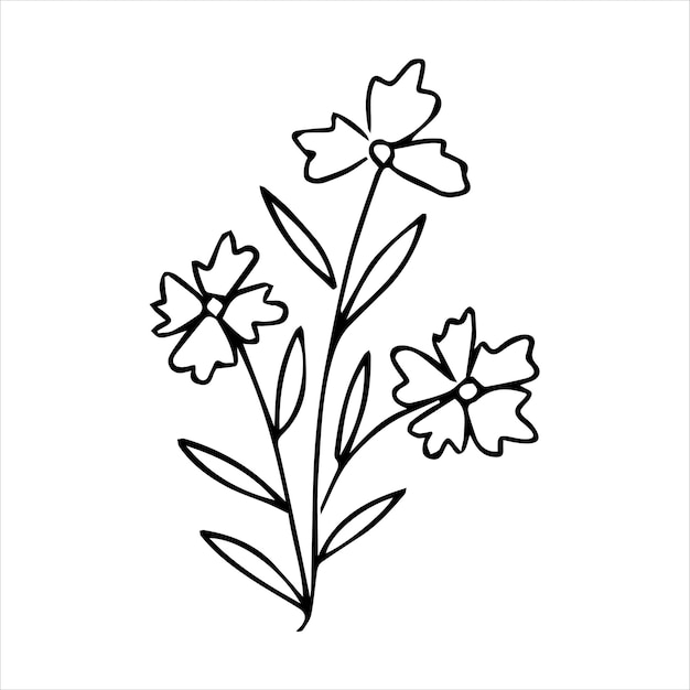 Hand drawn doodle botanical floral element for floral design concept