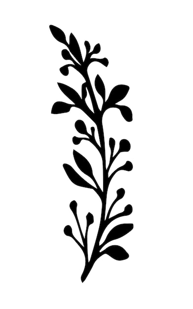 Hand drawn doodle branch with berries Vector llustration