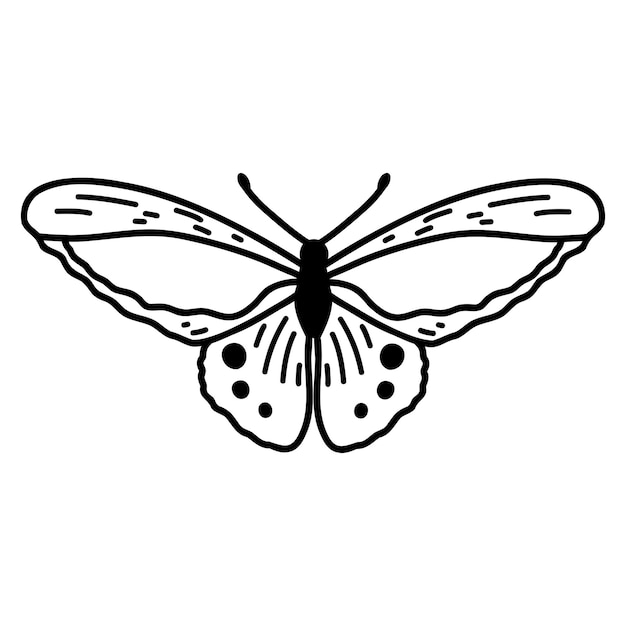 Hand drawn doodle butterfly Vector sketch illustration black outline art of insect for web design icon print coloring page