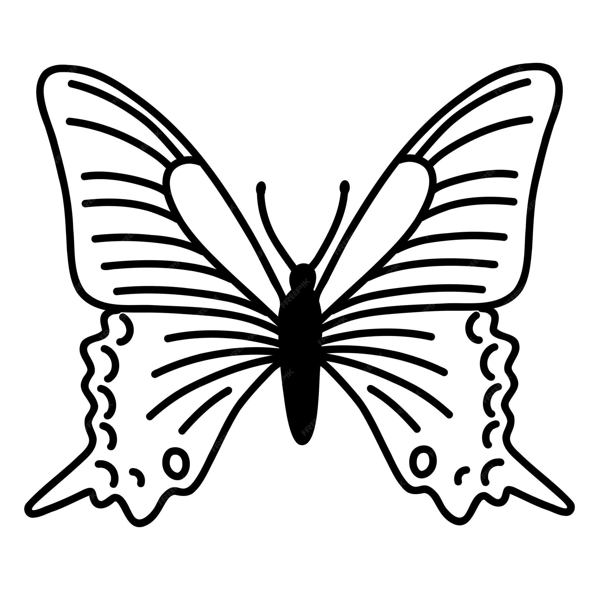 Premium Vector | Hand drawn doodle butterfly vector sketch illustration  black outline art of insect for web design icon print coloring page