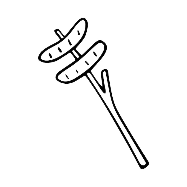 Hand drawn doodle camping sausages Vector fried sausages on a stick Outline