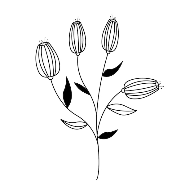 Vector hand drawn doodle flowers in outline style decorative floral element