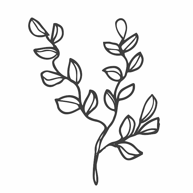 Hand drawn doodle flowers. Simple minimalist flower sketch