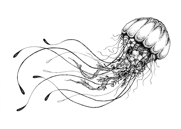 Hand drawn doodle jellyfish