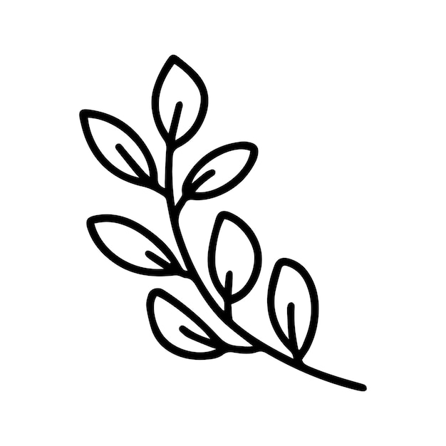 Hand drawn doodle leaf illustration vector doodle branch with leaves isolated