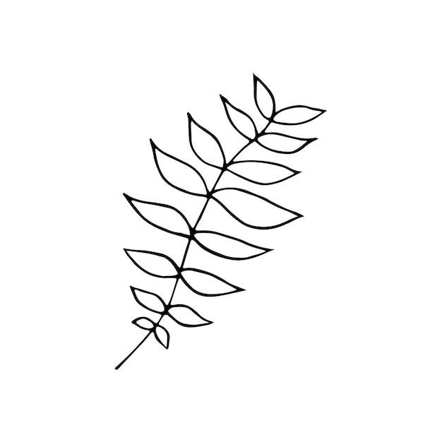 Hand drawn doodle leaf Vector clipart with branch