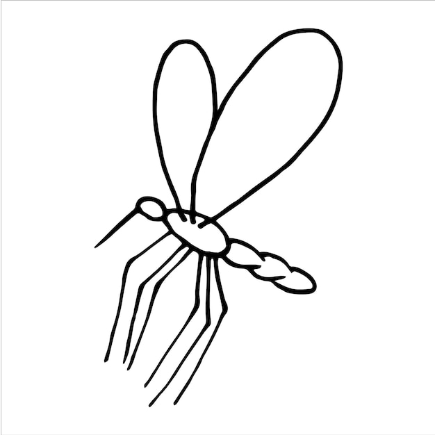 Hand drawn doodle mosquito Vector insect clipart Outline