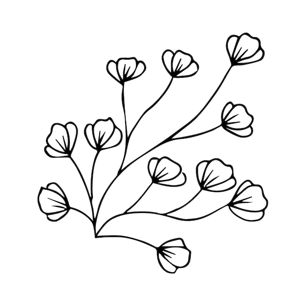 Hand drawn doodle plant element for floral design concept