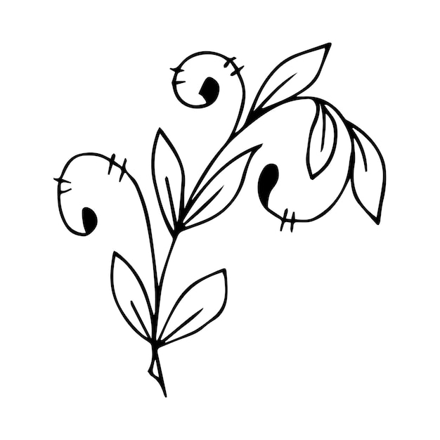 꽃 디자인 개념에 대 한 손으로 그린 낙서 식물 요소