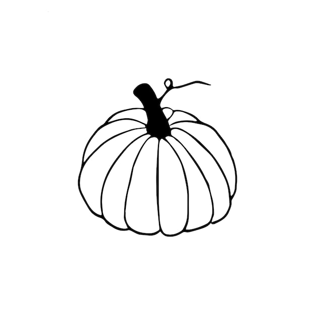 Hand drawn doodle pumpkin clipart Vector black and white pumpkin for Halloween or Thanksgiving design Outline