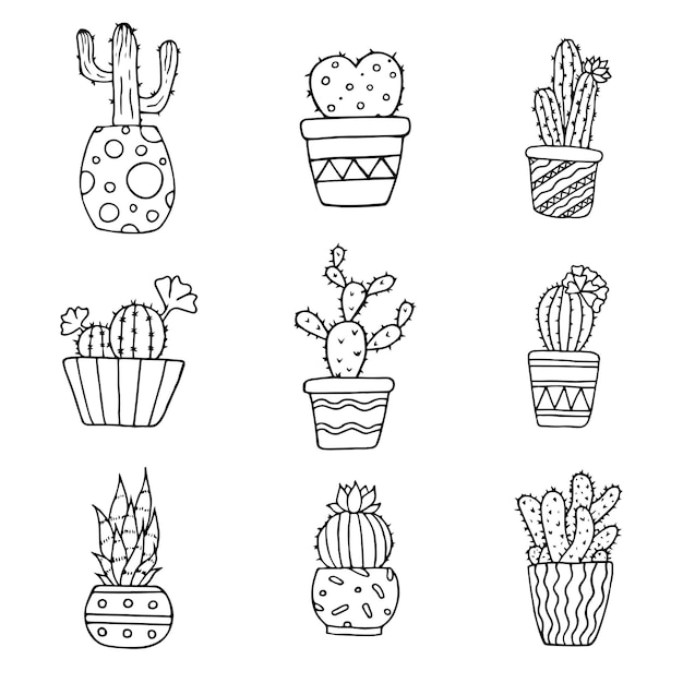 Vettore set di scarabocchi disegnati a mano con cactus succulente vettoriali in vaso contorno di piante d'appartamento