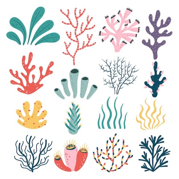 Hand drawn doodle style seaweed oceanic floral aquarium tropical plant