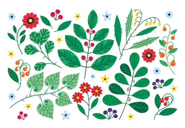 Hand drawn doodle summer flowers leaves and berries plants