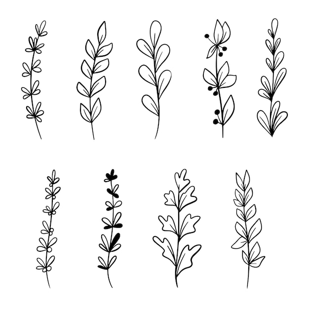 Hand drawn doodle vector leaves and branches Collection of tree Floral plant elements