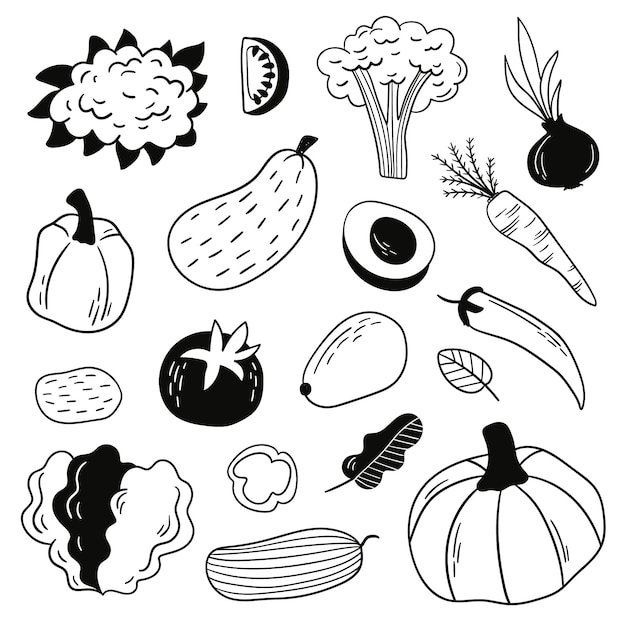 Hand drawn doodle vegetables set