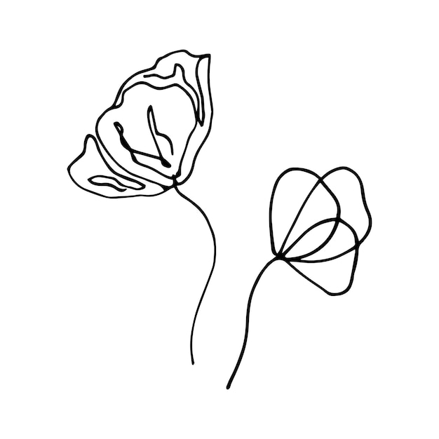 Hand drawn doodle with flowers in one line. Floral natural design. Graphics, sketch drawing. Sketch