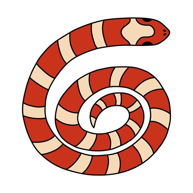 Vector hand drawn doodle with outline of elapidae snake jungle or zoo serpent rolled into a circle tropical or wild west poison viper in top view vector wildlife concept coral dangerous snake isolated