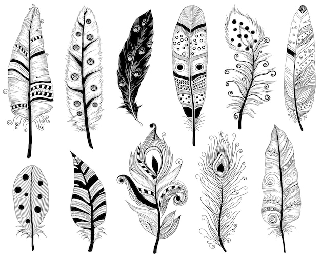 Premium Vector | Hand drawn doodles vector illustration of ethnic feathers