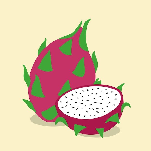 Ручной обращается фрукты дракона тропические фрукты здоровое питание фрукты векторный дизайн иллюстрации
