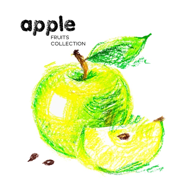 Hand drawn drawing on white background vector illustration of fruit apple