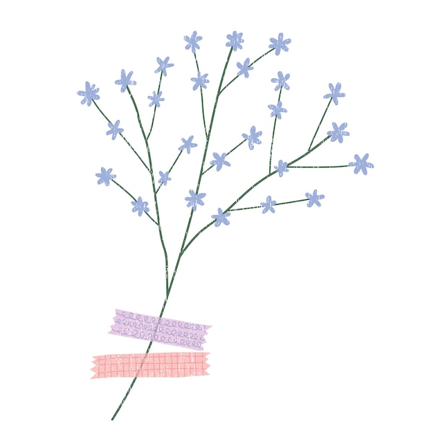 Ручной рисунок сухоцвета с лентой васи Элемент вектора изолирован на белом фоне