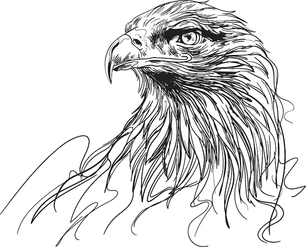 Vector hand drawn eagle head vector illustration