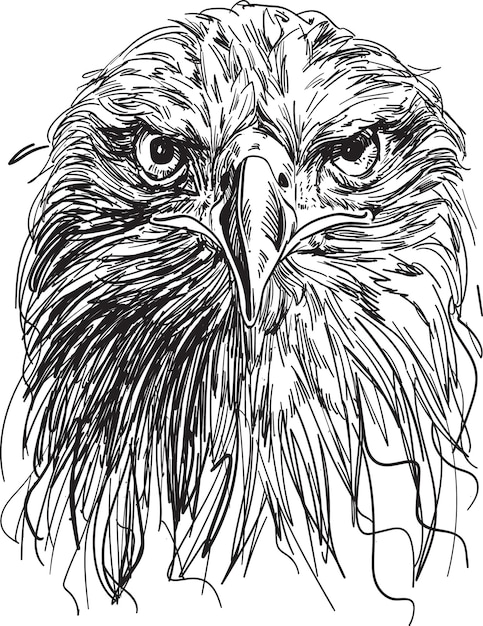 hand drawn eagle head vector illustration