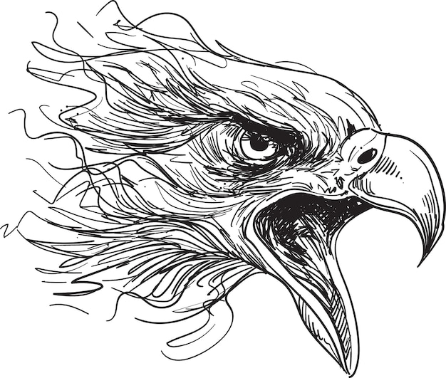 Вектор Векторная иллюстрация главы орла, нарисованная вручную