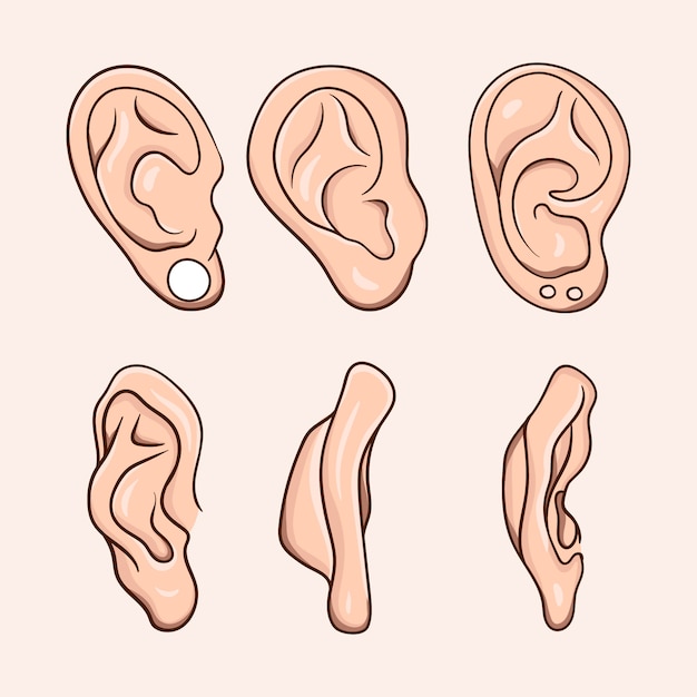 Vector hand drawn ear cartoon illustration