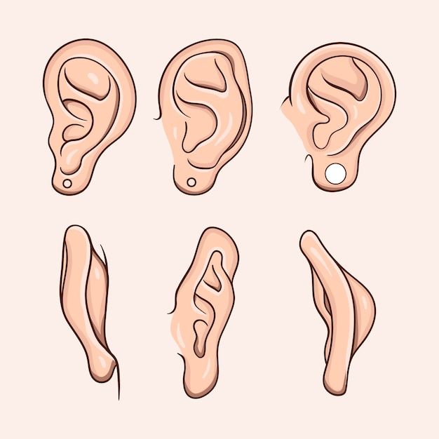 Hand drawn ear cartoon illustration