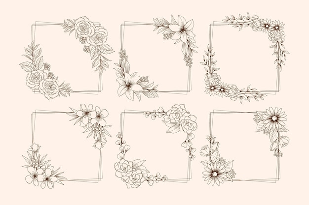 Vector hand drawn elegant collection