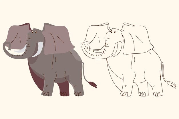 Vector hand drawn elephant illustration