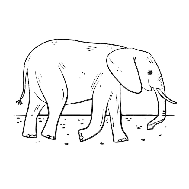 Vettore illustrazione del profilo dell'elefante disegnato a mano