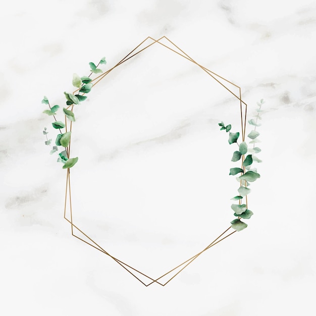 Hand drawn eucalyptus leaf with hexagon gold frame vector