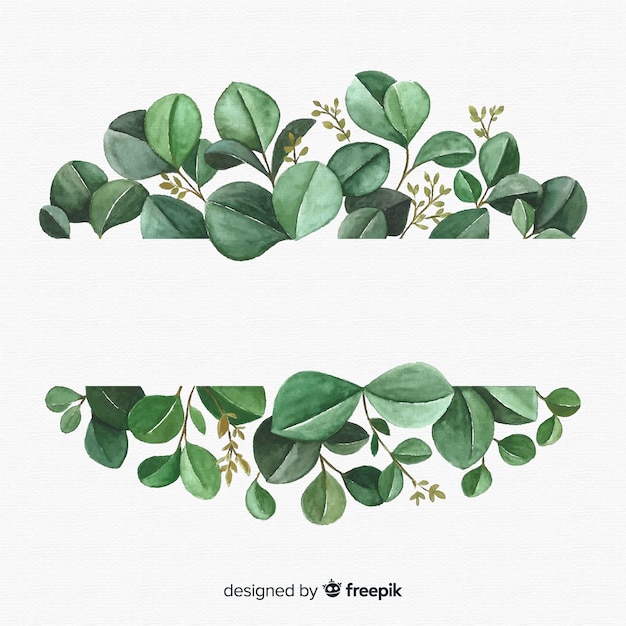 Hand drawn eucalyptus leaves background