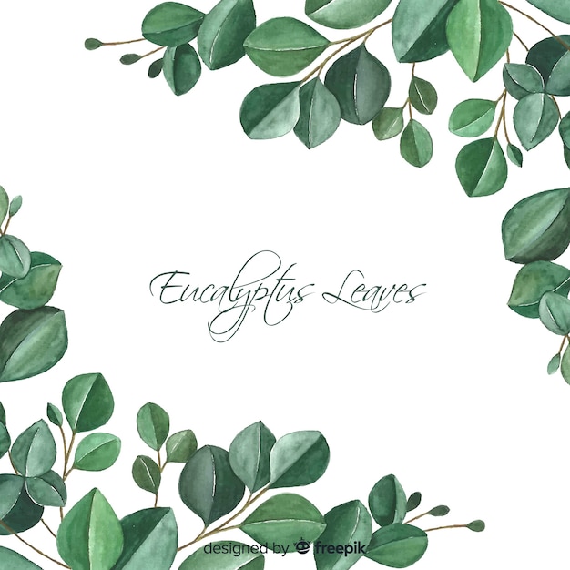 Vector hand drawn eucalyptus leaves background