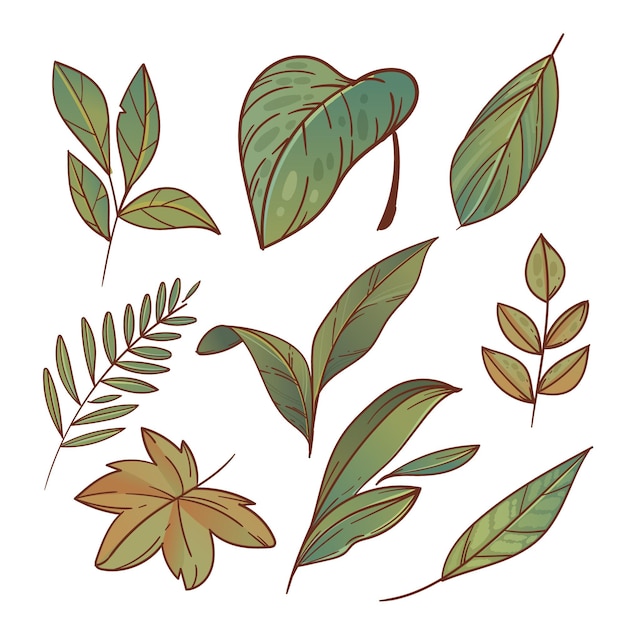 Hand drawn exotic green leaves collection