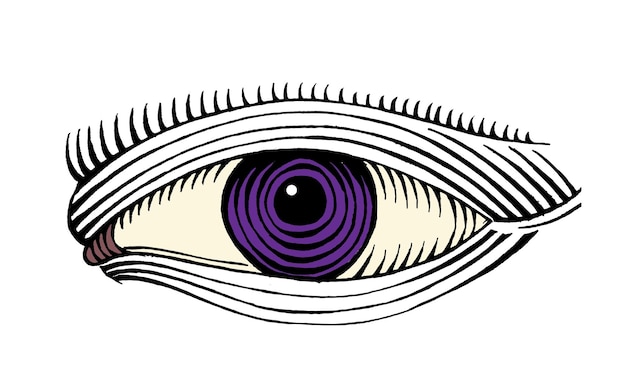 Vector hand drawn eye drawing line art color