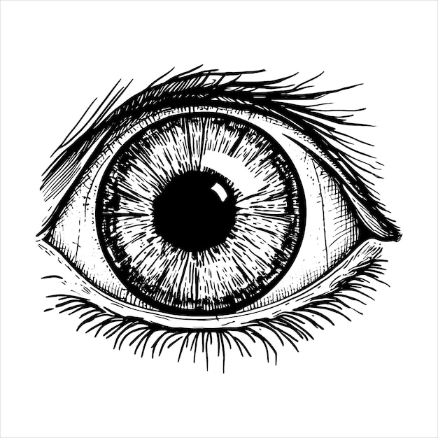 Hand drawn eye