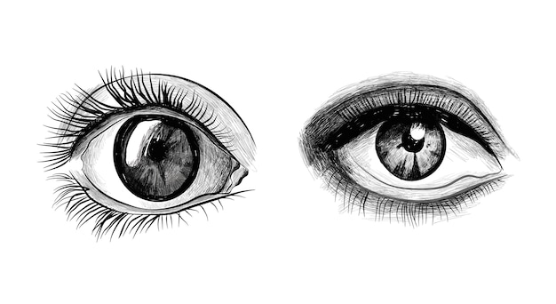 Hand drawn eyes.