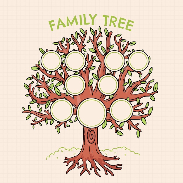 Modello di albero genealogico disegnato a mano