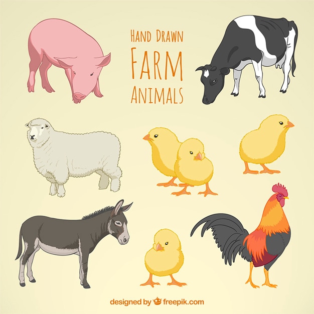 Vector hand drawn farm animals