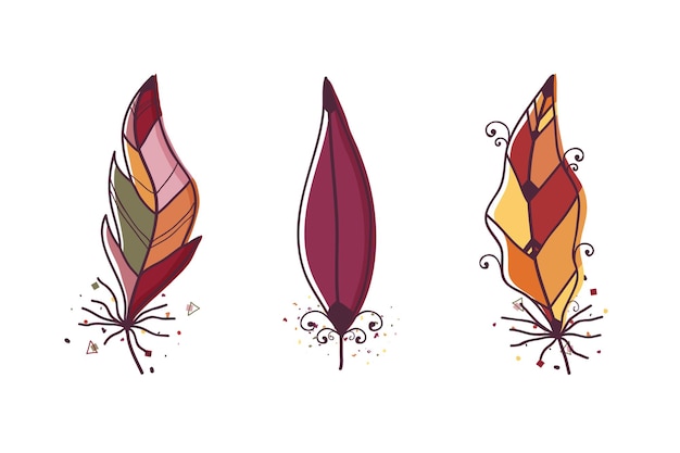 Vector hand drawn feather collection