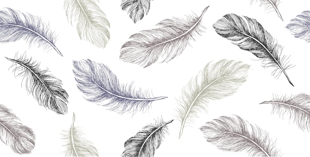 Hand drawn feather on white background