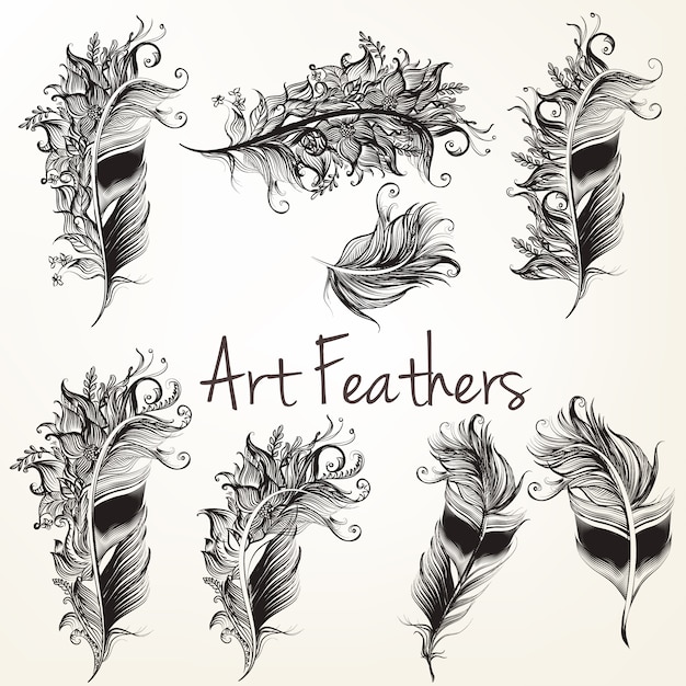 Vector hand drawn feathers collection