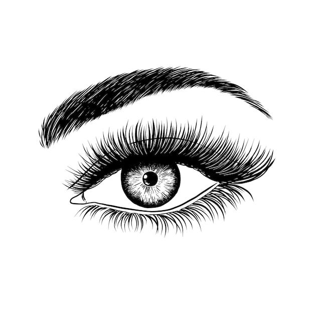 Hand drawn female eye